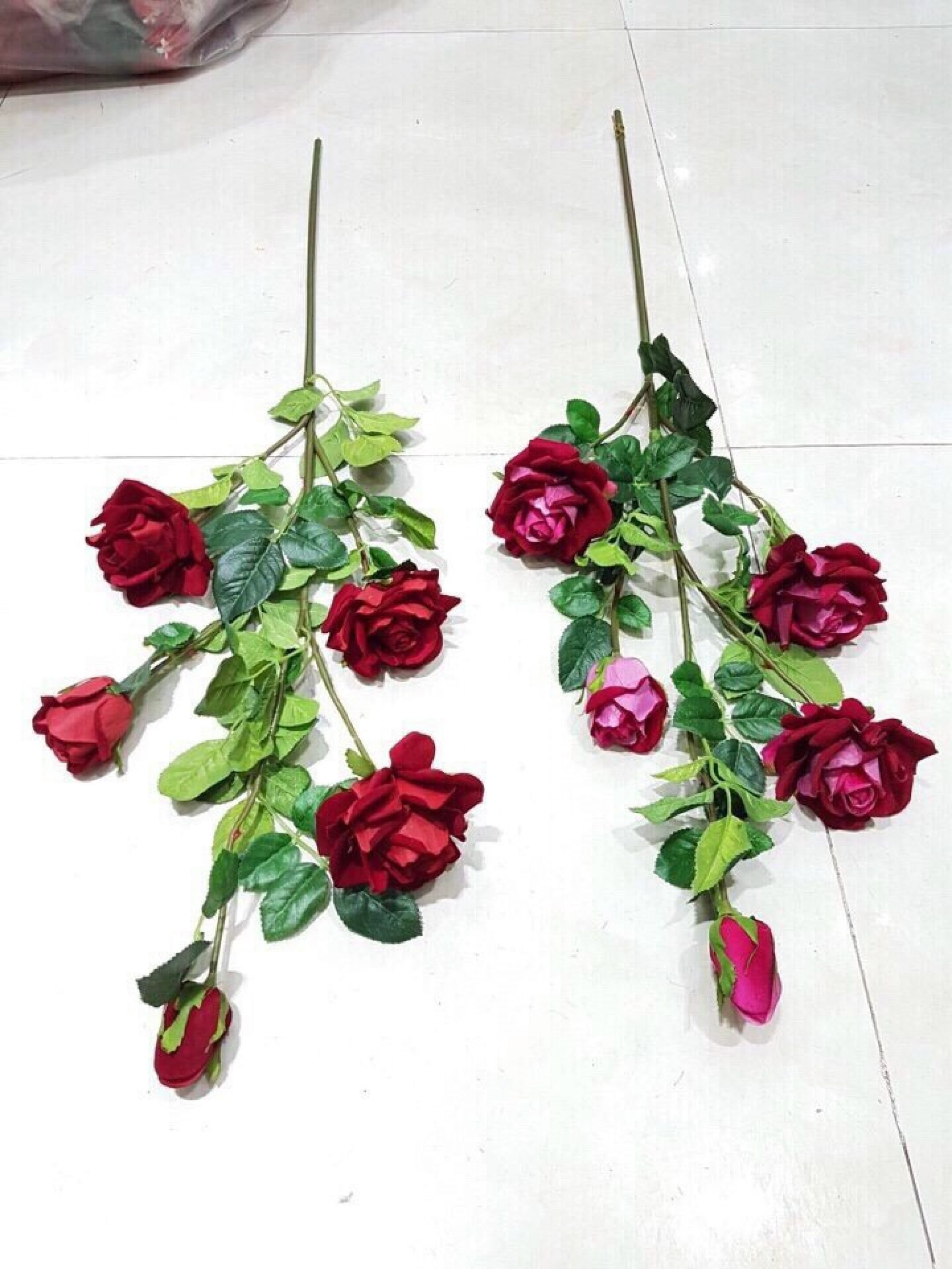 Cành hoa hồng, bó hoa hồng