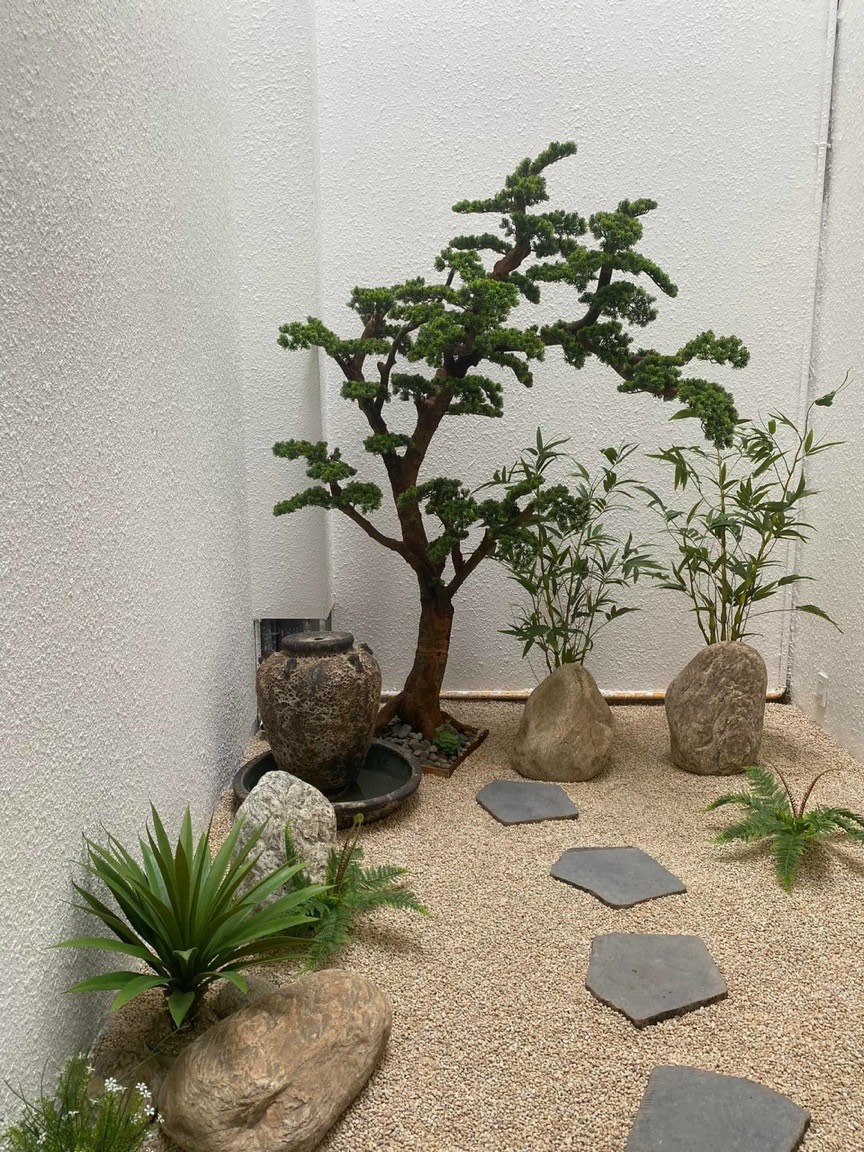 tùng bonsai Tiểu cảnh vườn nhật trang trí